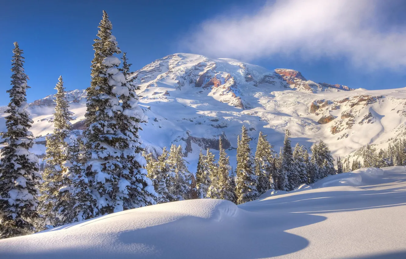Фото обои зима, небо, снег, деревья, гора, склон