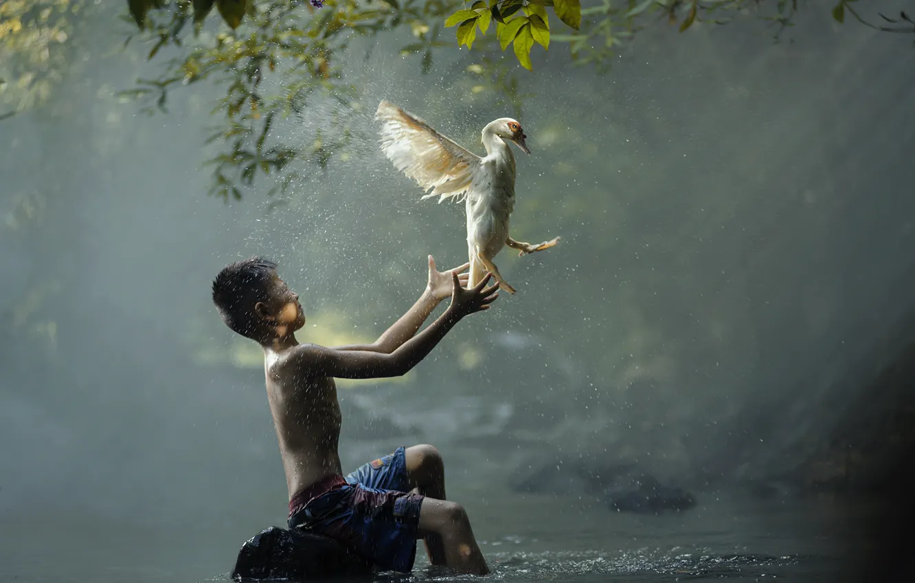 Фото обои река, птица, мальчик