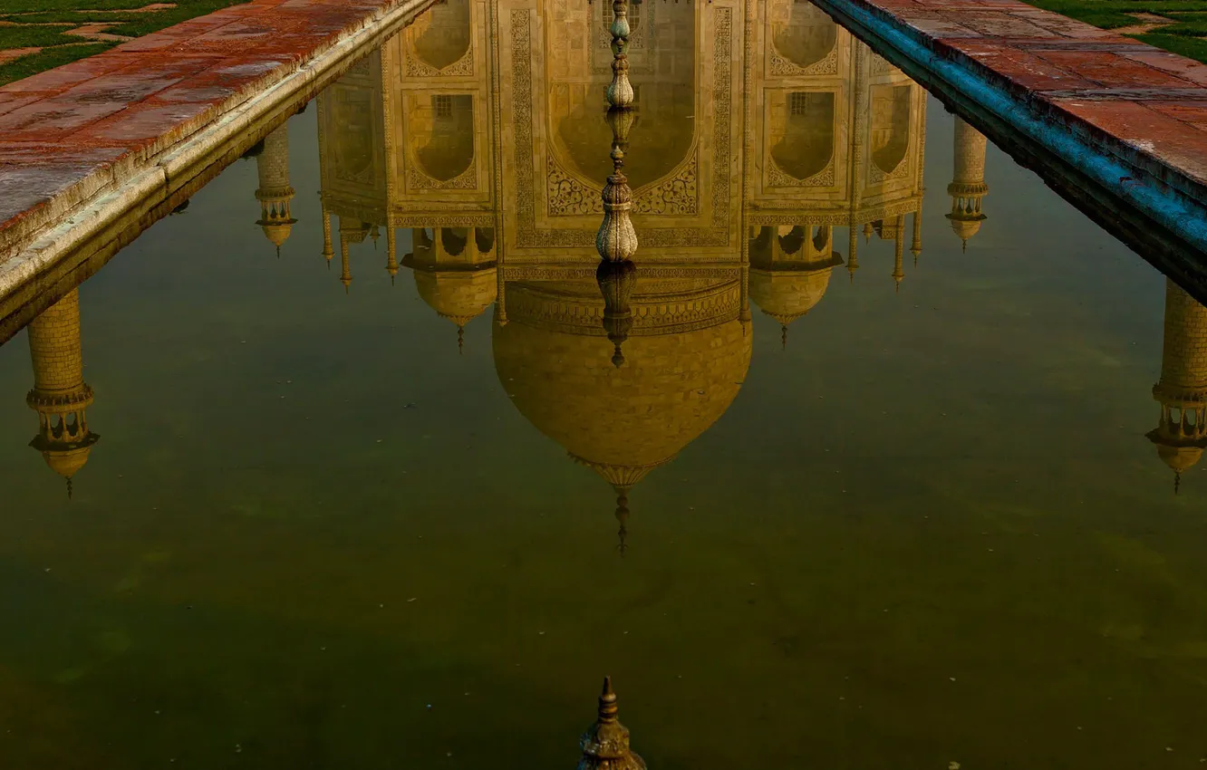 Фото обои вода, отражение, Индия, Тадж-Махал, мавзолей, Агра