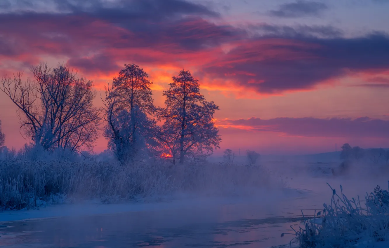 Фото обои зима, деревья, река, восход, рассвет, утро, мороз, Польша