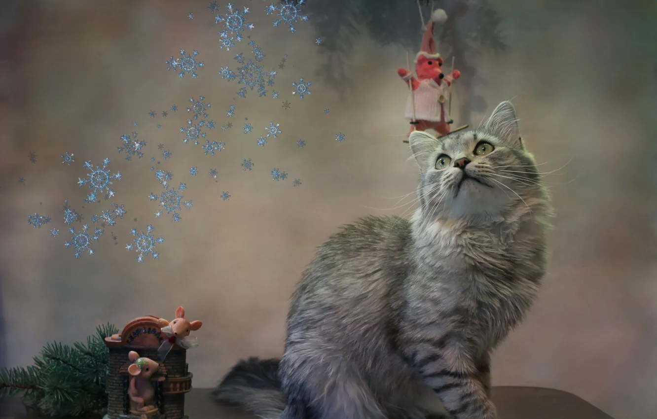 Фото обои кошка, кот, снежинки, животное, новый год, ель, ветка, мыши