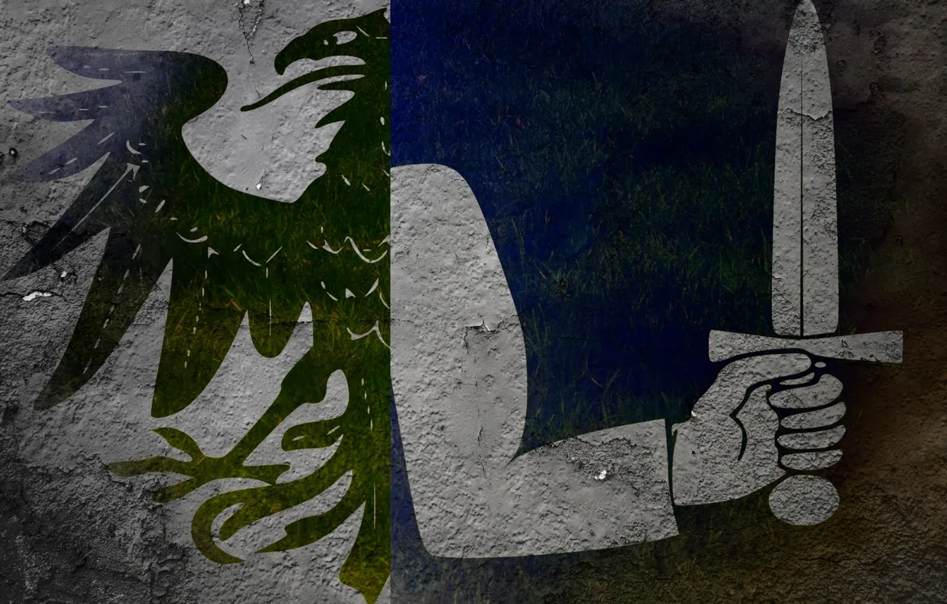 Фото обои меч, Флаг, Ирландия, герб, ворон, Коннахт