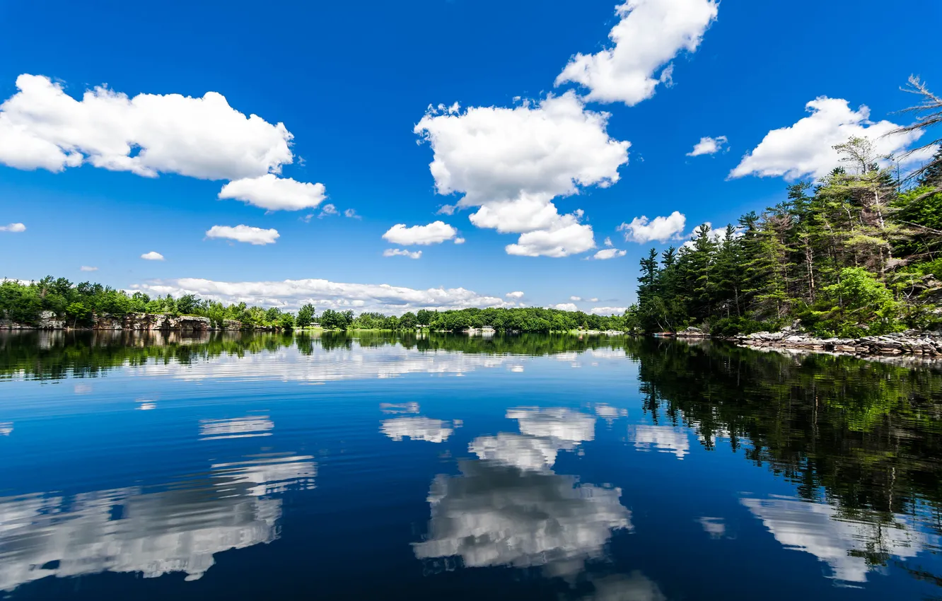 Фото обои облака, деревья, отражение, река
