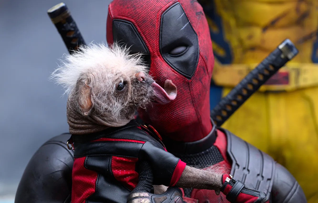Фото обои Ryan Reynolds, Deadpool, Marvel Studios, 2024, Deadpool & Wolverine, Dogpool