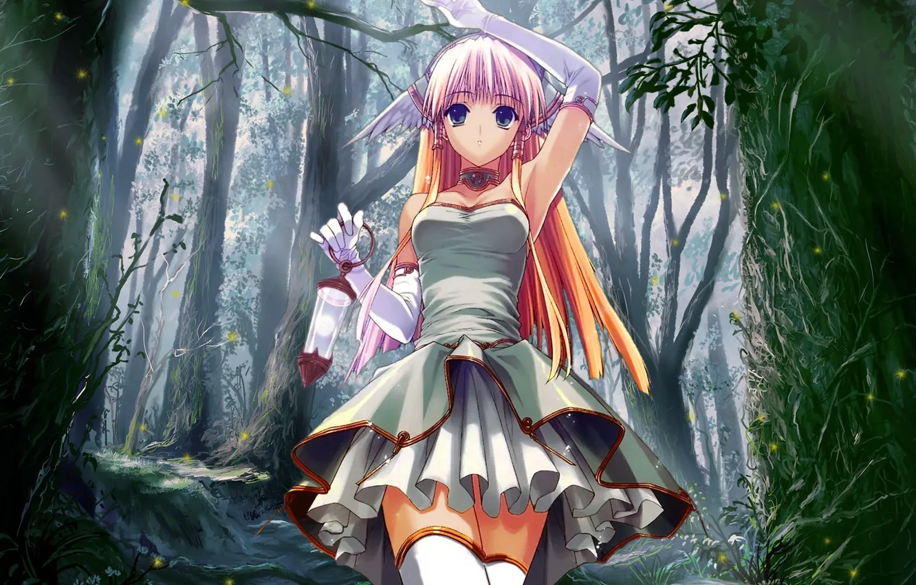 Фото обои лес, девушка, фонарик, крылышки
