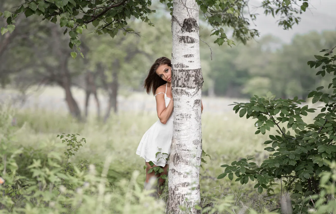 Фото обои ПРИРОДА, ТРАВА, СТВОЛ, САРАФАН, БЕРЁЗА, Diana, Денис Третьяков, Модель Диана