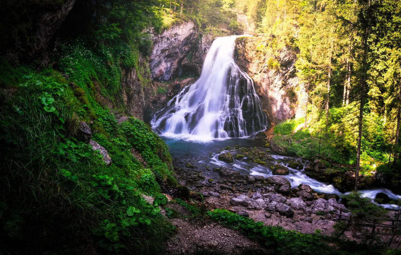 Фото обои лес, водопад, речка