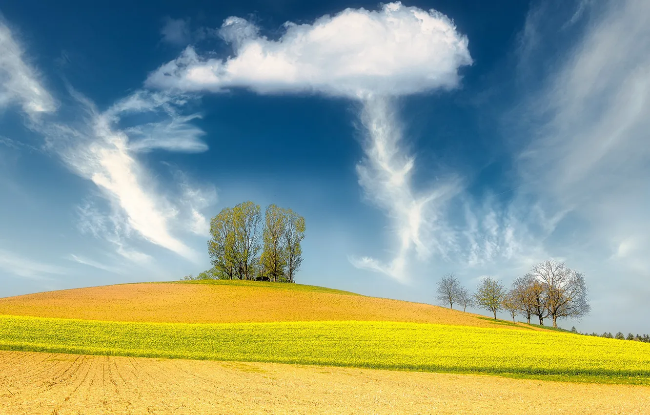 Фото обои поле, небо, деревья, Швейцария