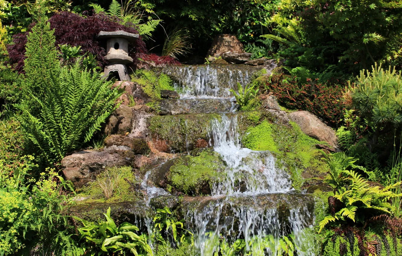 Фото обои зелень, ручей, водопад, сад, Великобритания, Mount Pleasant garden, Kelsall