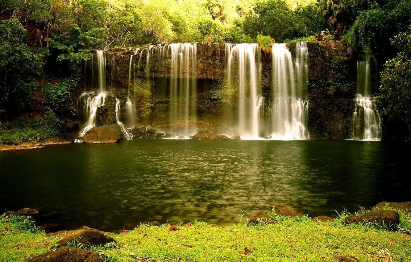 Фото обои лес, вода, природа, водопад, nature, waterfall