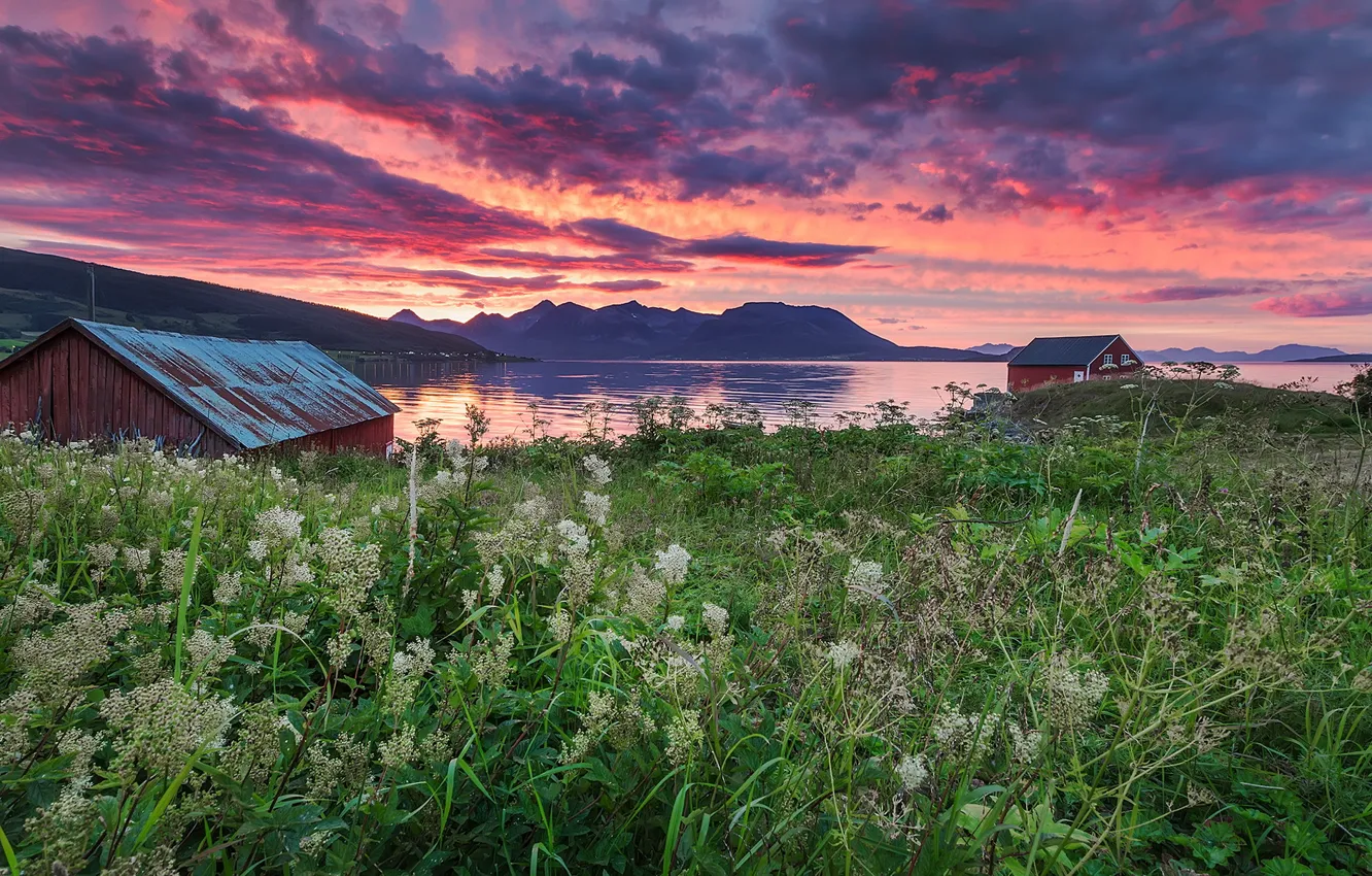 Фото обои море, поле, закат, дома