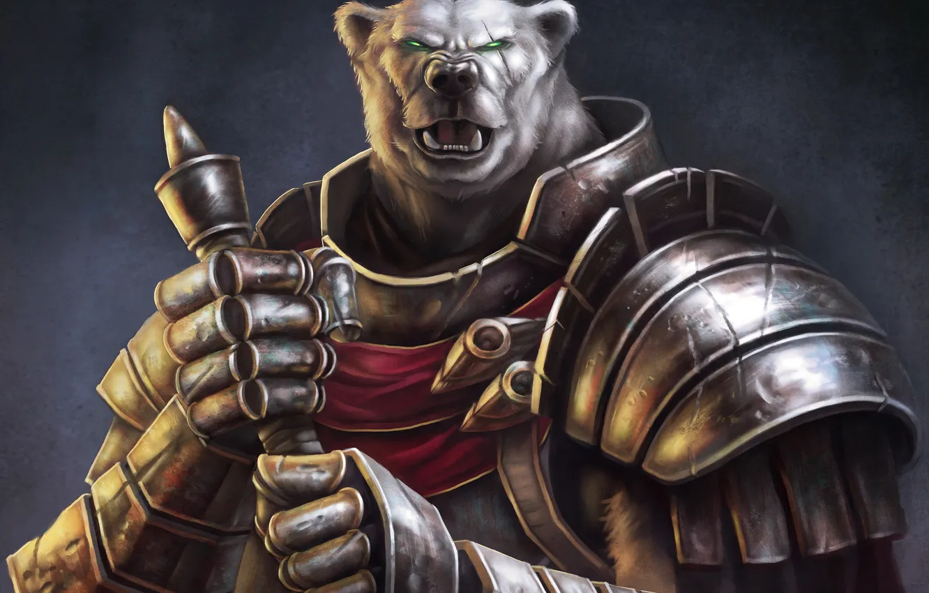 Фото обои оружие, медведь, воин, арт, броня, шрам, Guild Wars, Kodan