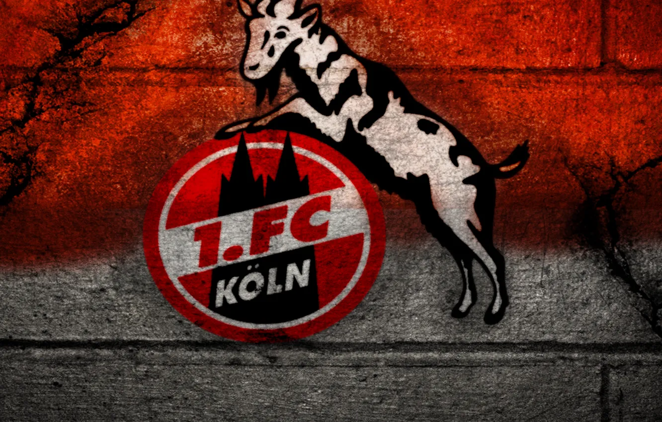 Фото обои wallpaper, sport, logo, football, 1. FC Koln