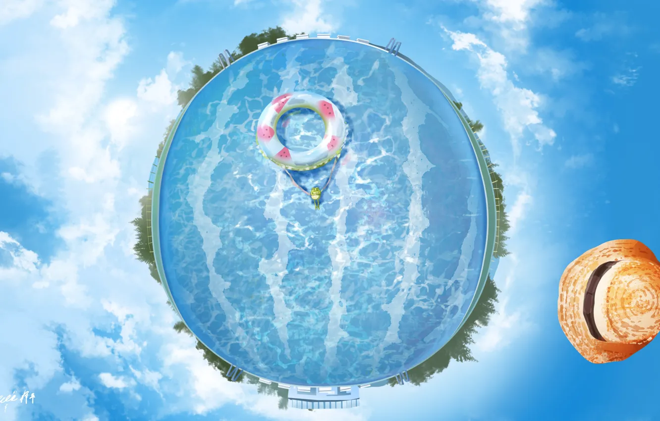 Фото обои лягушка, круг, шляпа, бассейн, вид сверху