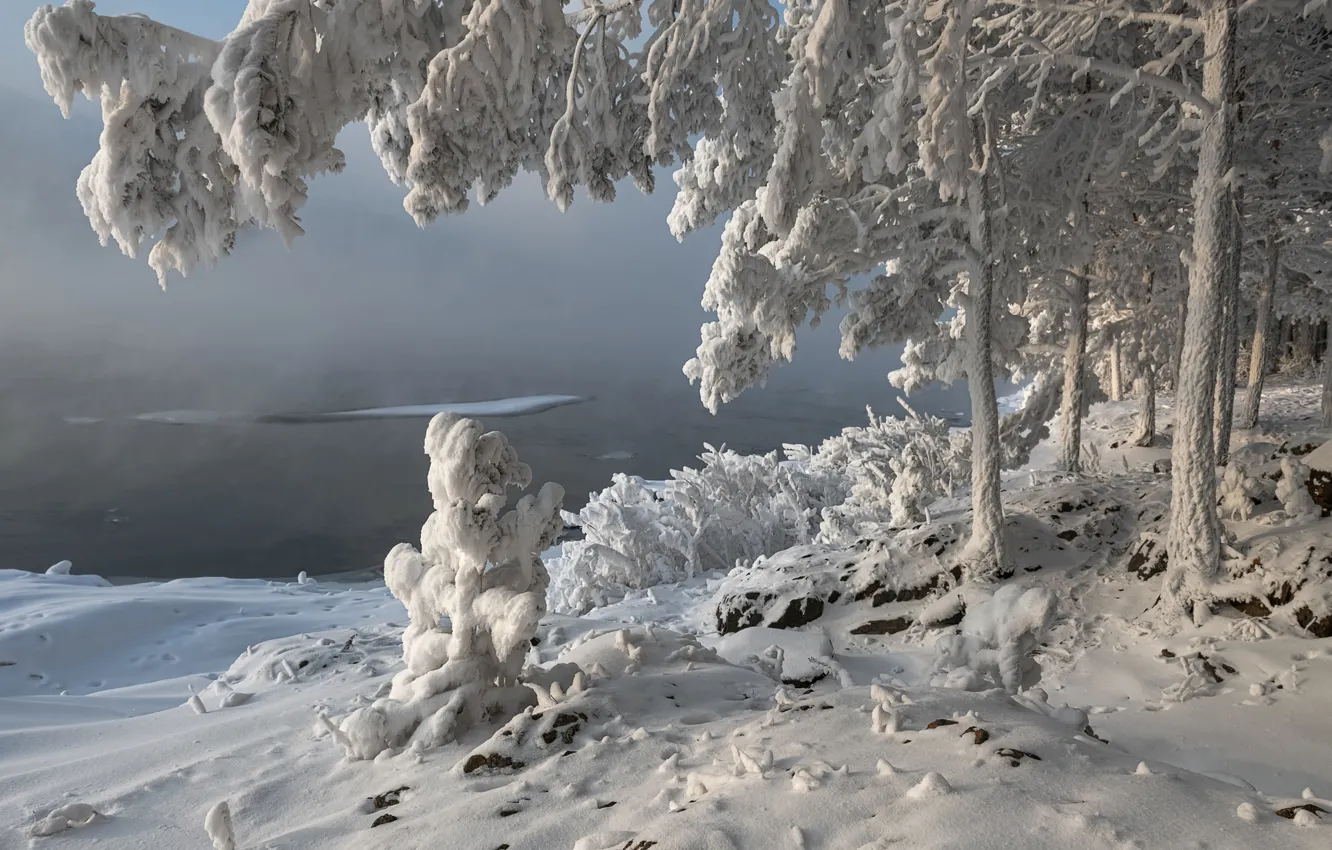 Фото обои зима, снег, деревья, пейзаж, ветки, природа, река, берег