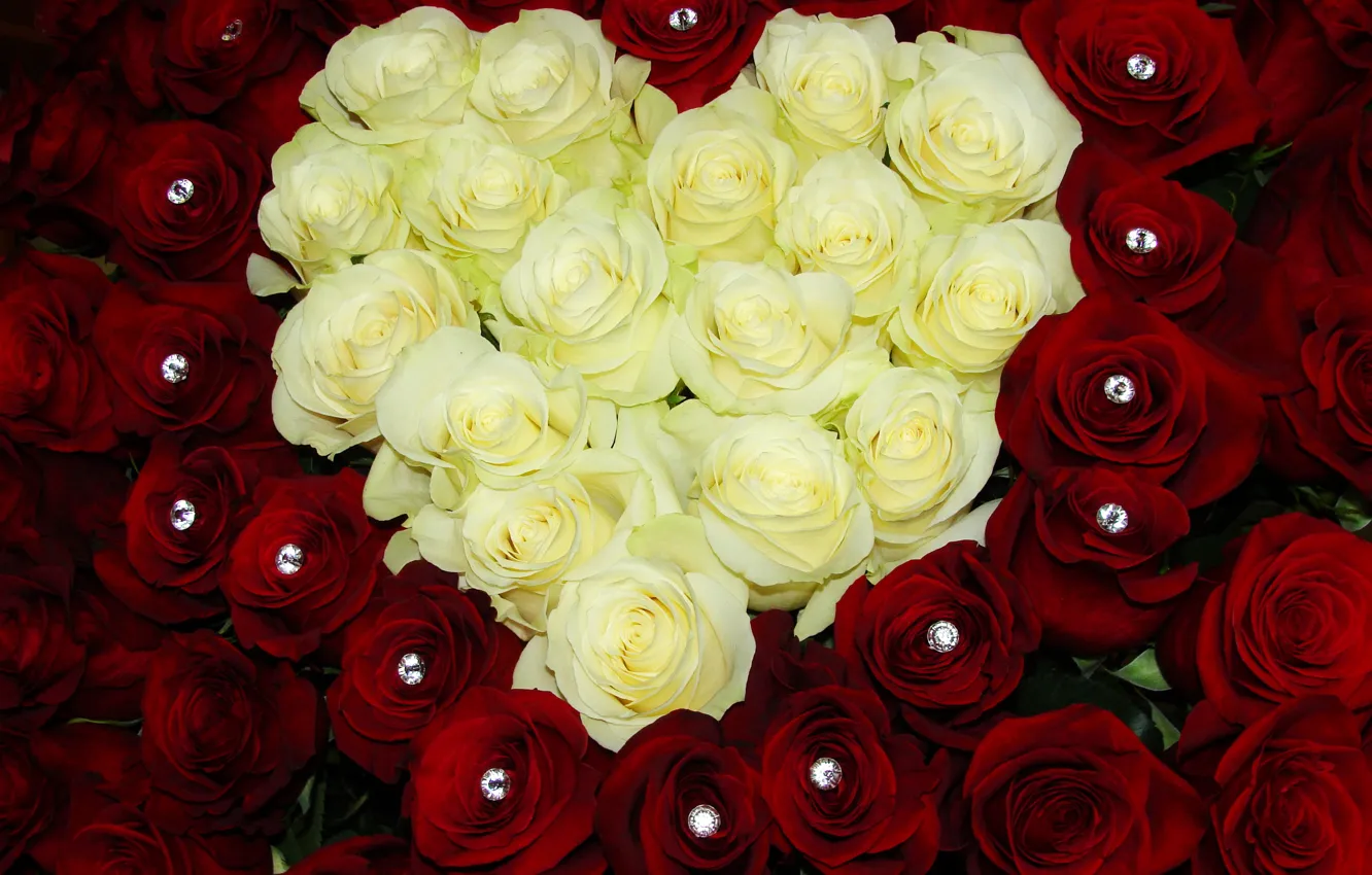 Фото обои цветы, сердце, розы, букет, colorful, красные, rose, белые