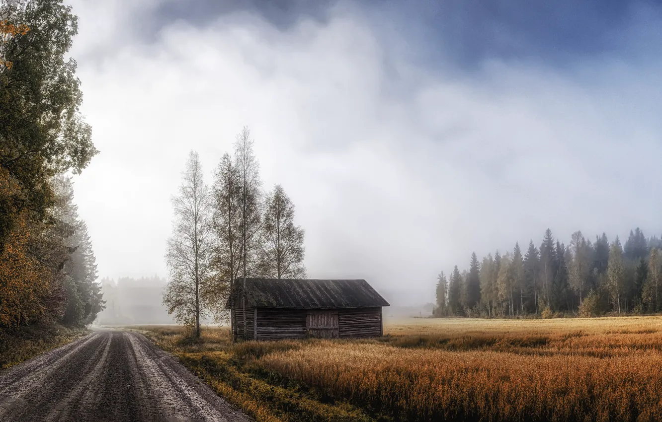 Фото обои дорога, осень, дом