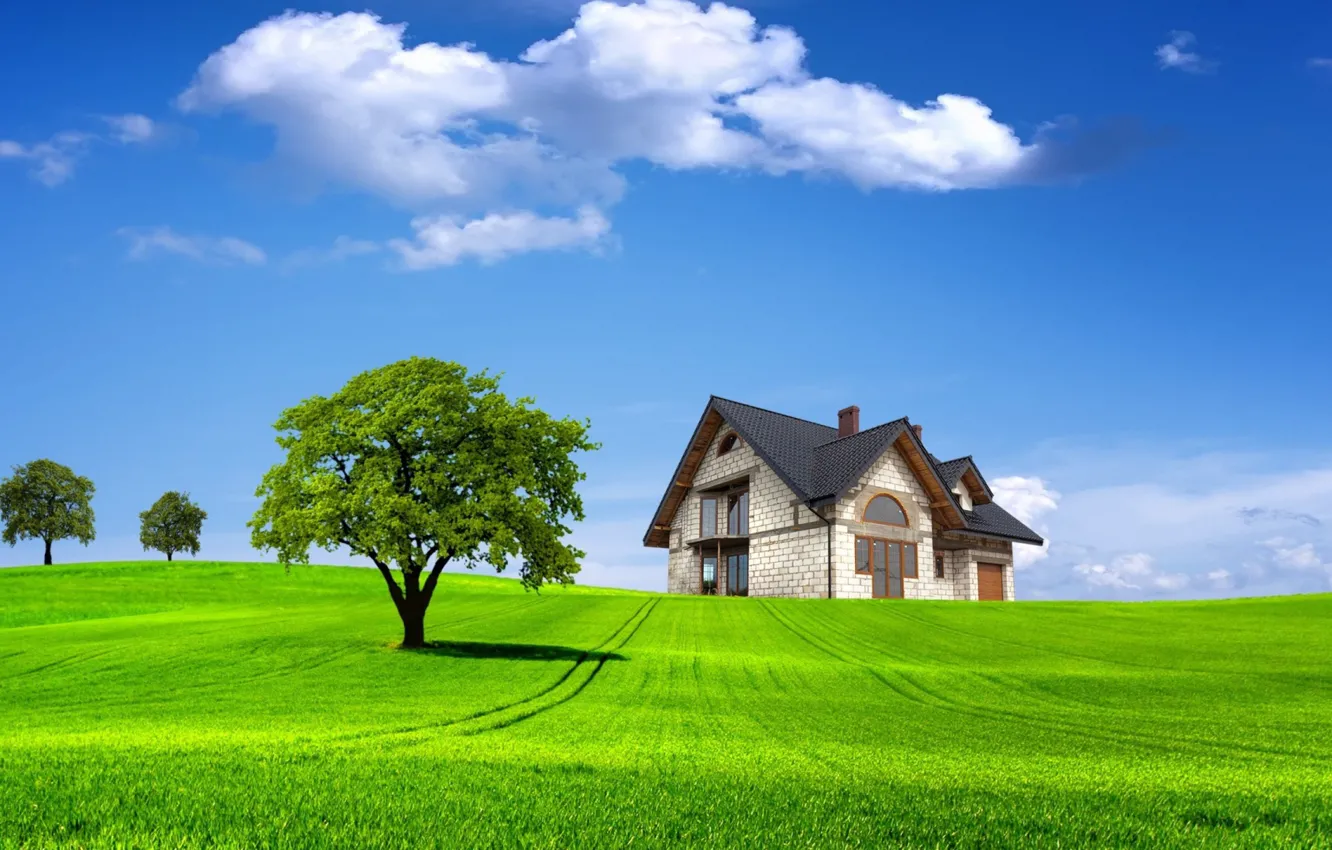 Фото обои green, landscape, nature