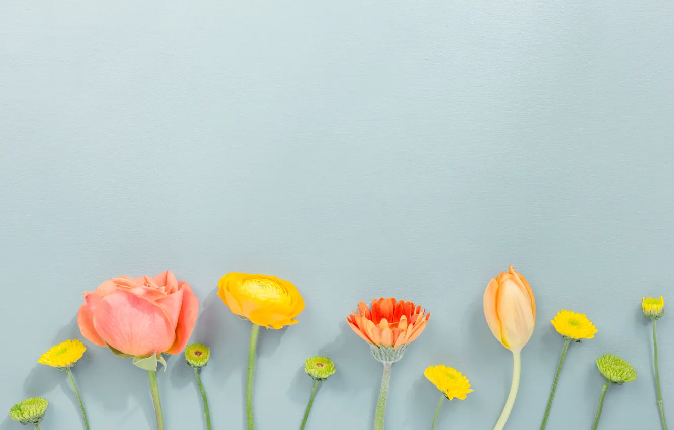 Фото обои цветы, flowers, beautiful, spring, композиция, tender, floral
