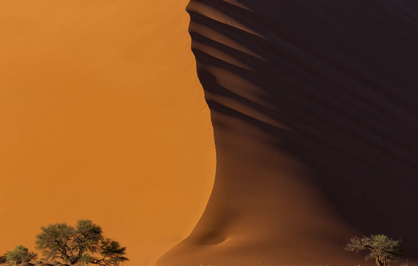 Фото обои песок, свет, пустыня, тень, Намибия