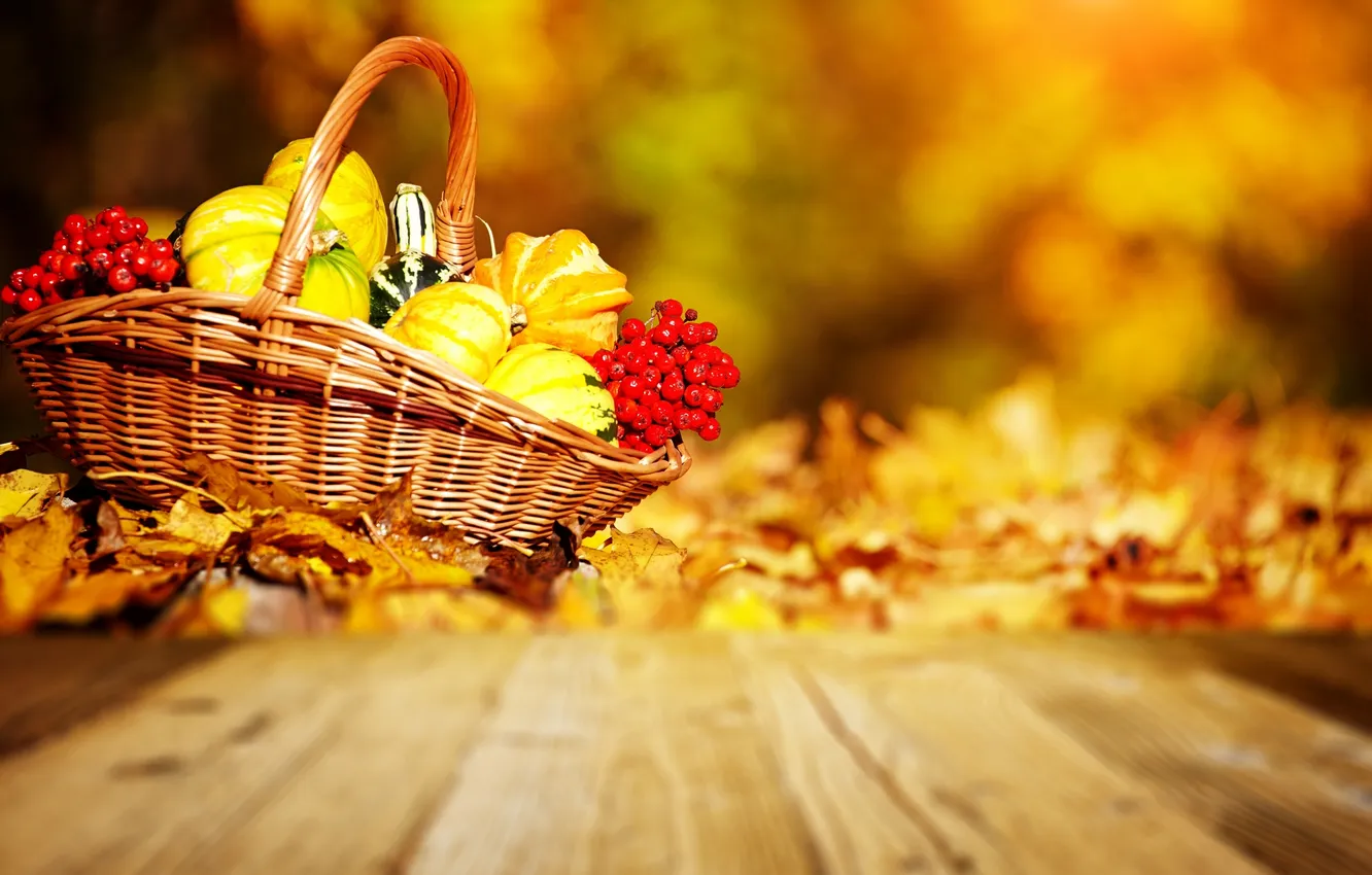 Фото обои осень, тыквы, корзинка, рябина