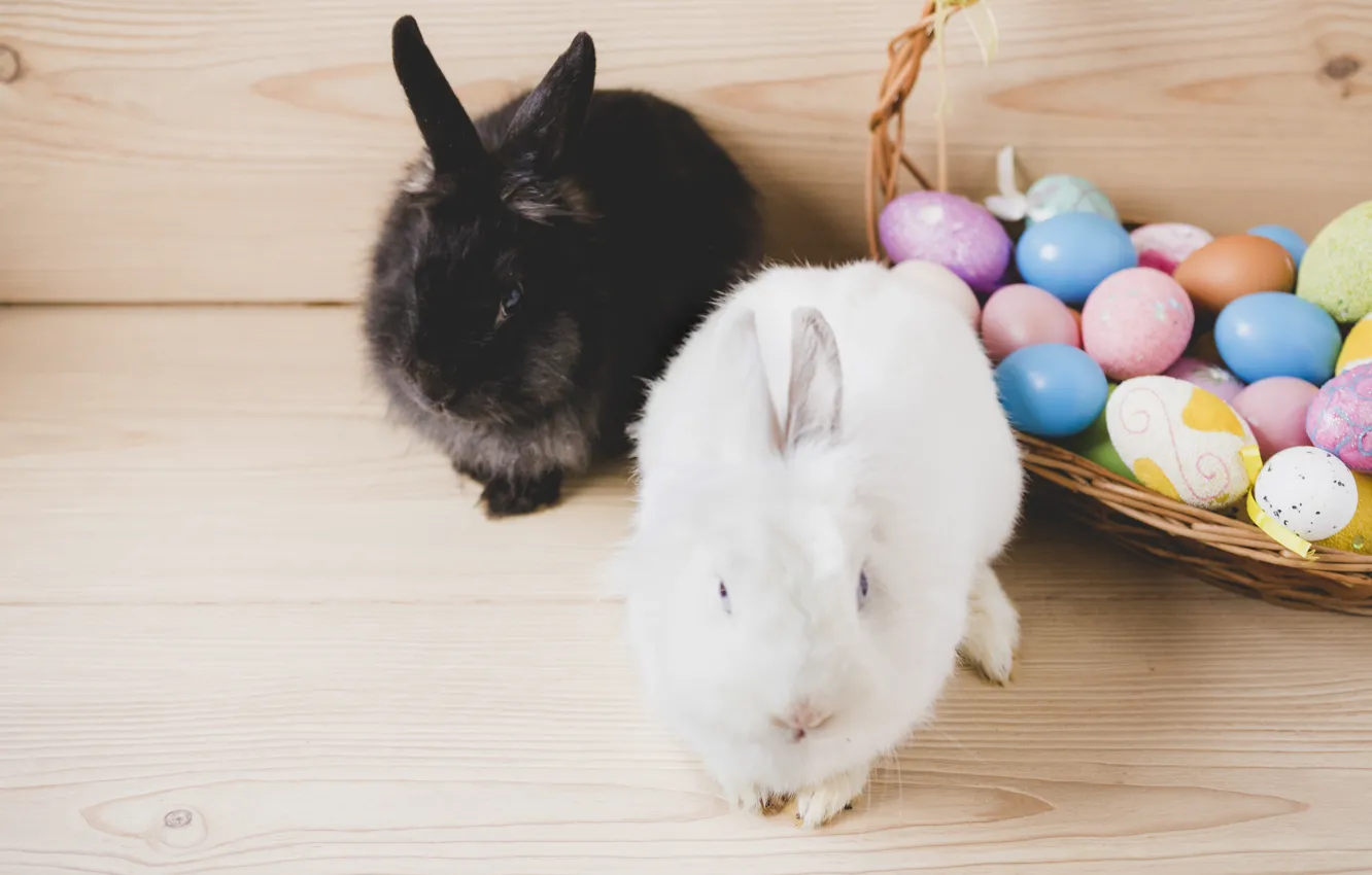 Фото обои праздник, корзина, яйца, Кролики, пасха