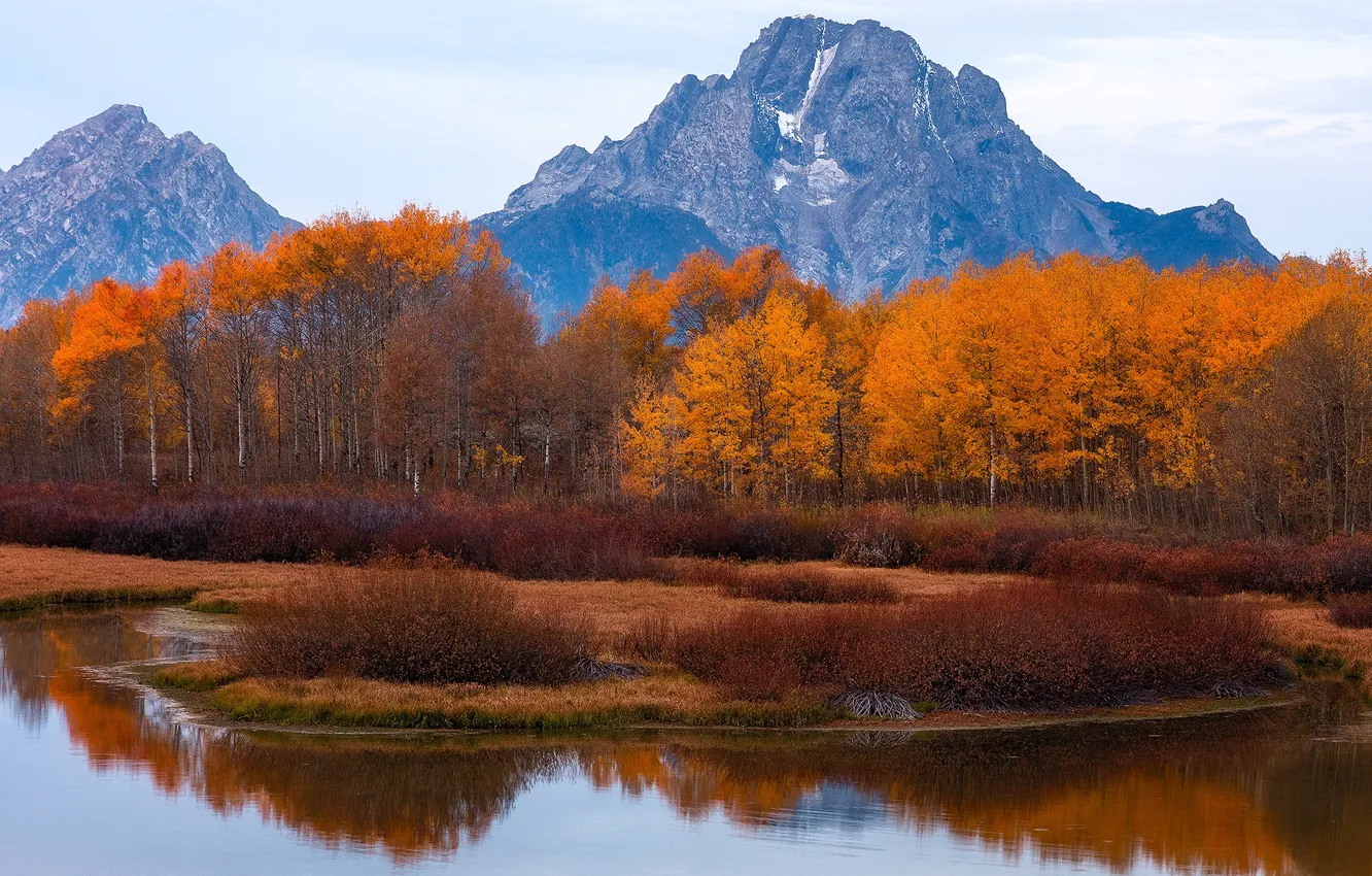 Фото обои осень, деревья, горы, озеро, Вайоминг, США, Титон