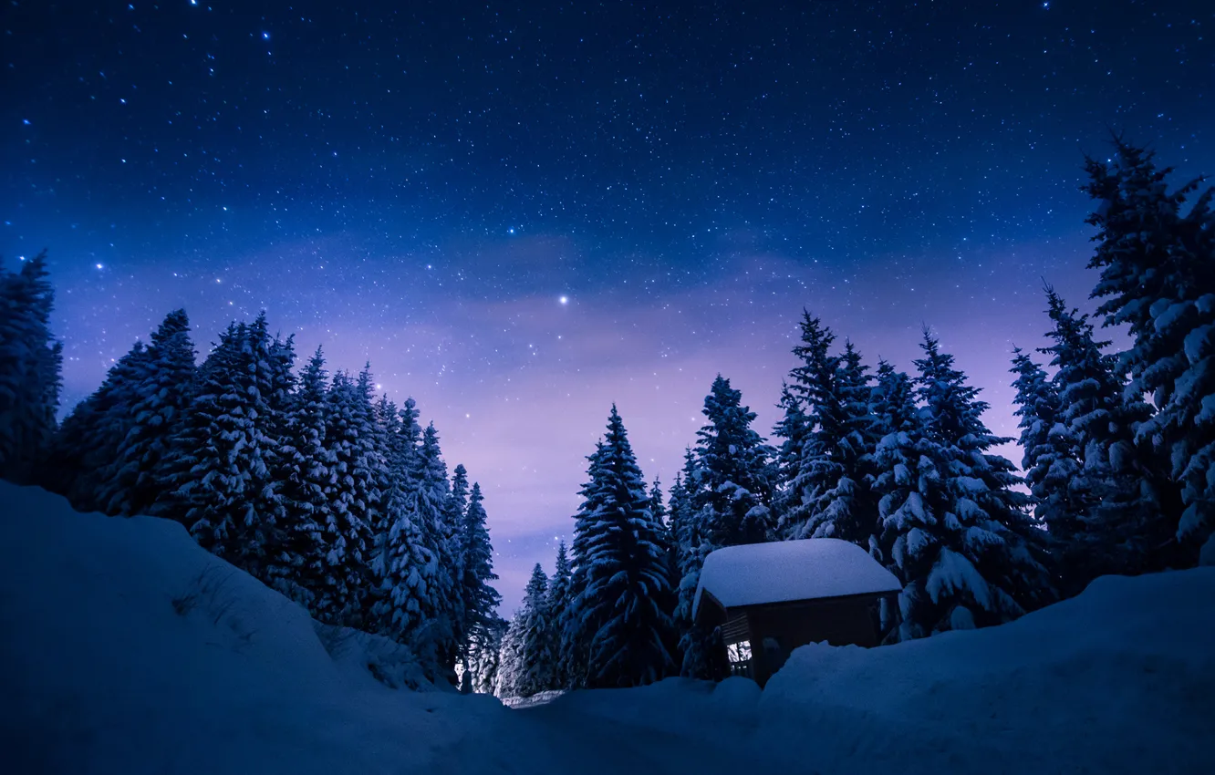 Фото обои дорога, небо, звезды, свет, снег, деревья, Зима, домик