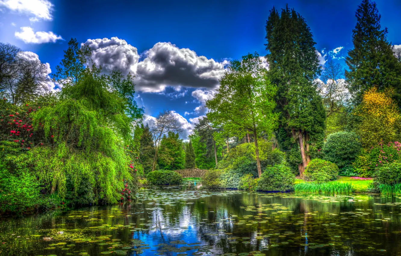 Фото обои зелень, небо, вода, облака, деревья, река, HDR