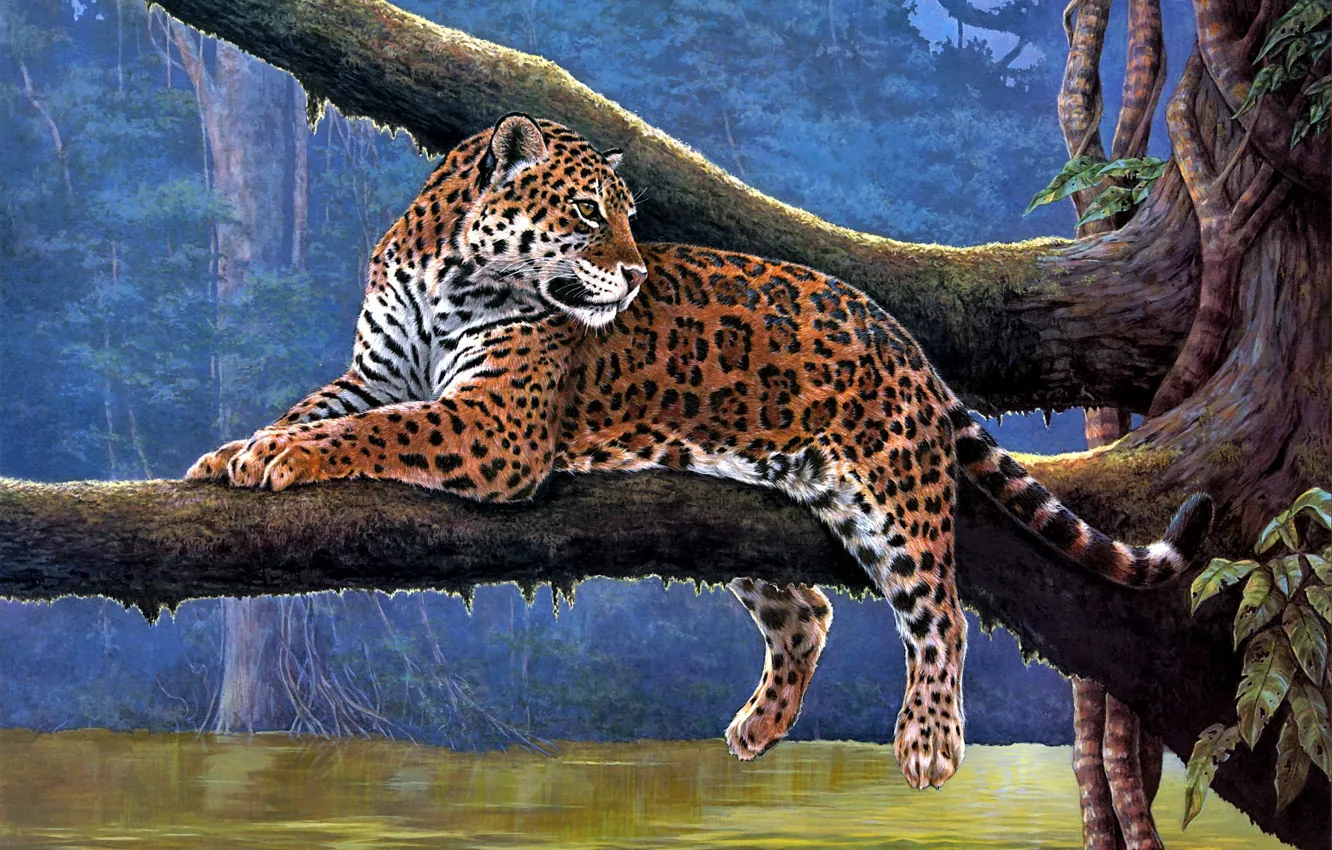 Фото обои животные, река, дерево, Jaguar, ветка, ягуар, живопись, лианы