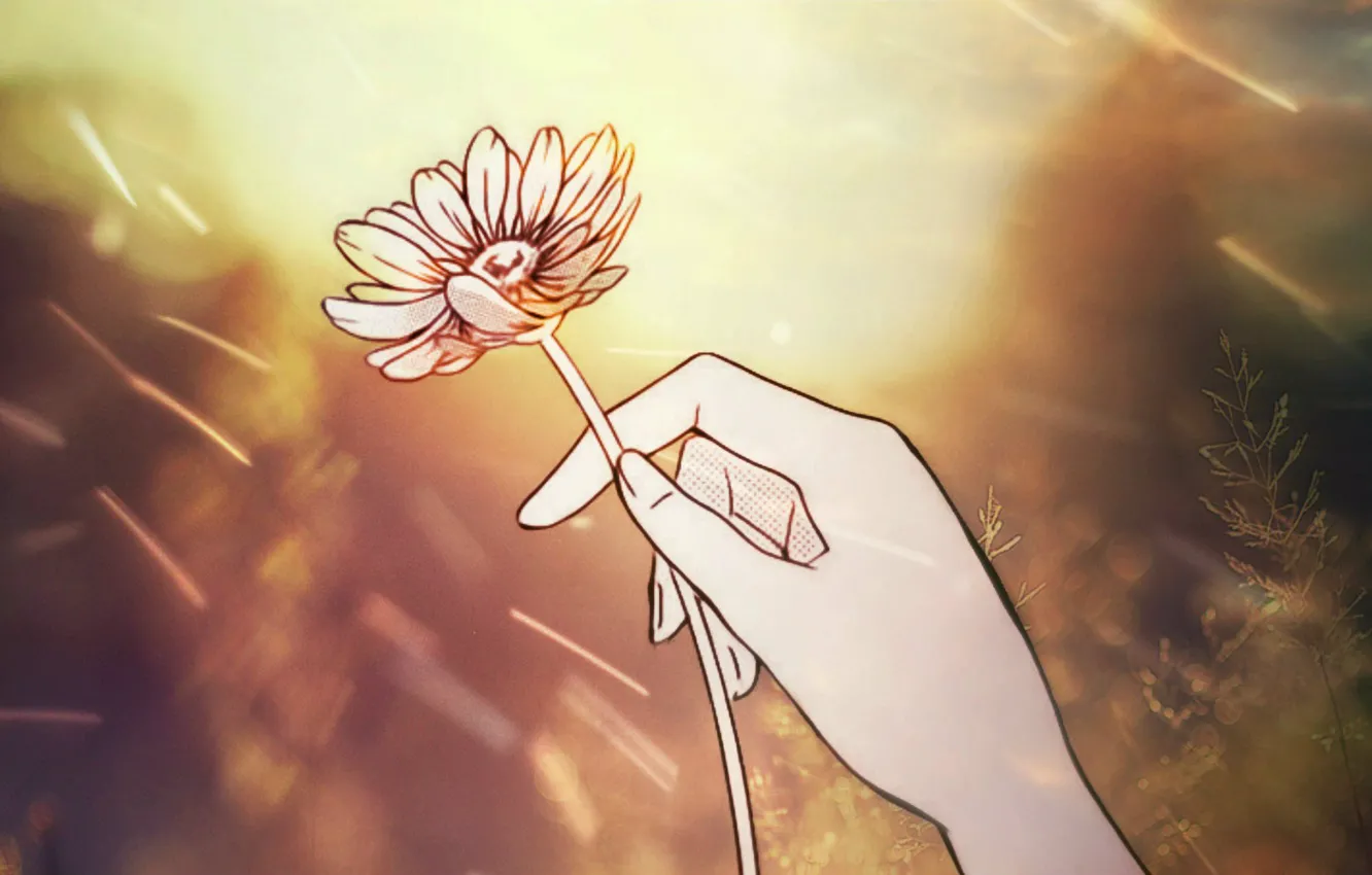 Фото обои цветок, рука, ретуш