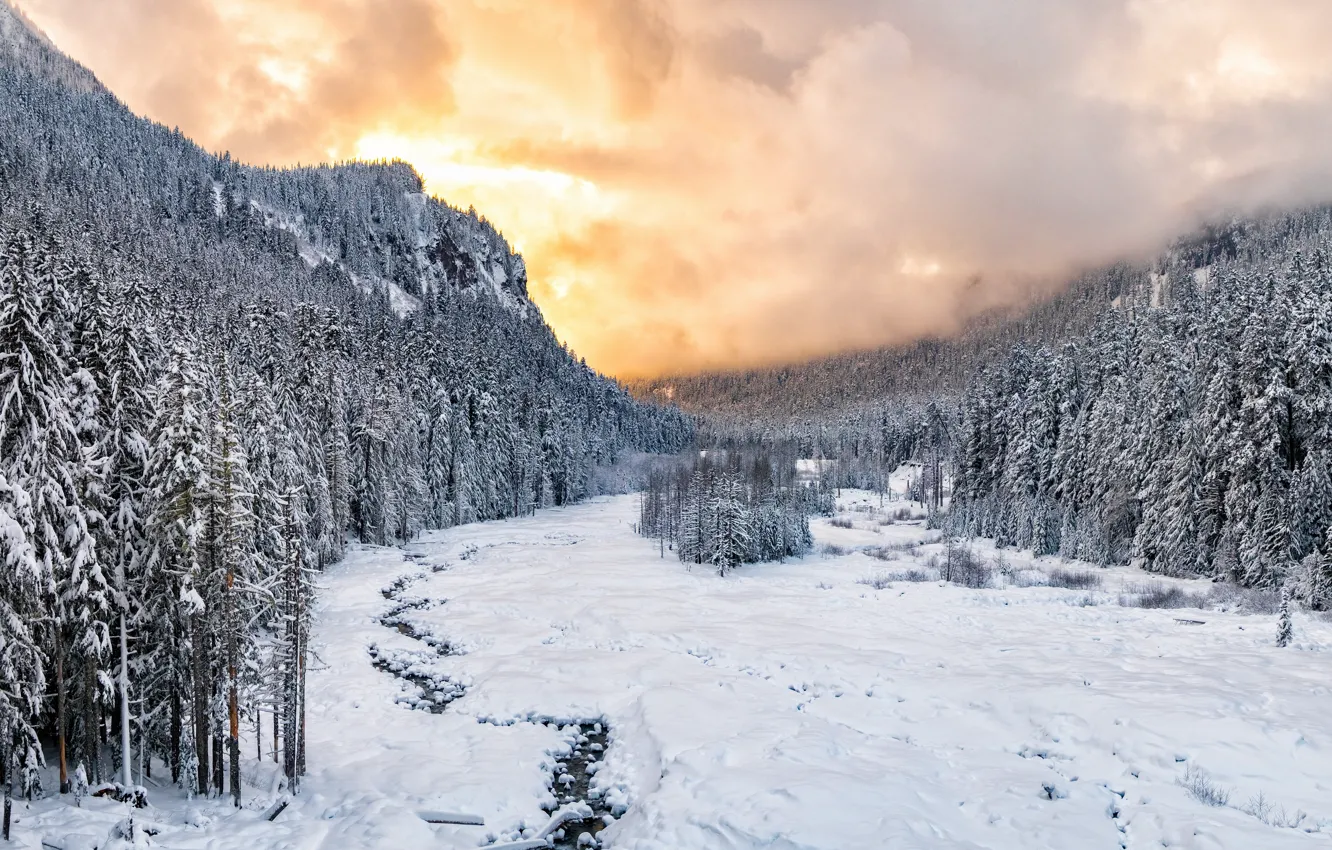 Фото обои Sunset, winter, snow, national park, Nisqually River valley, Mount Rainie