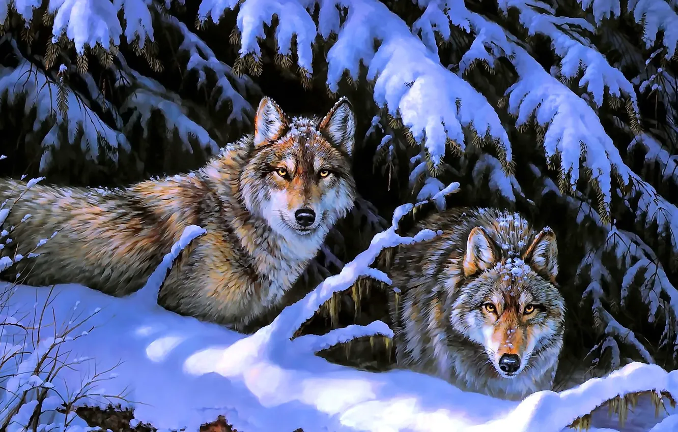 Фото обои зима, животные, снег, деревья, природа, волки