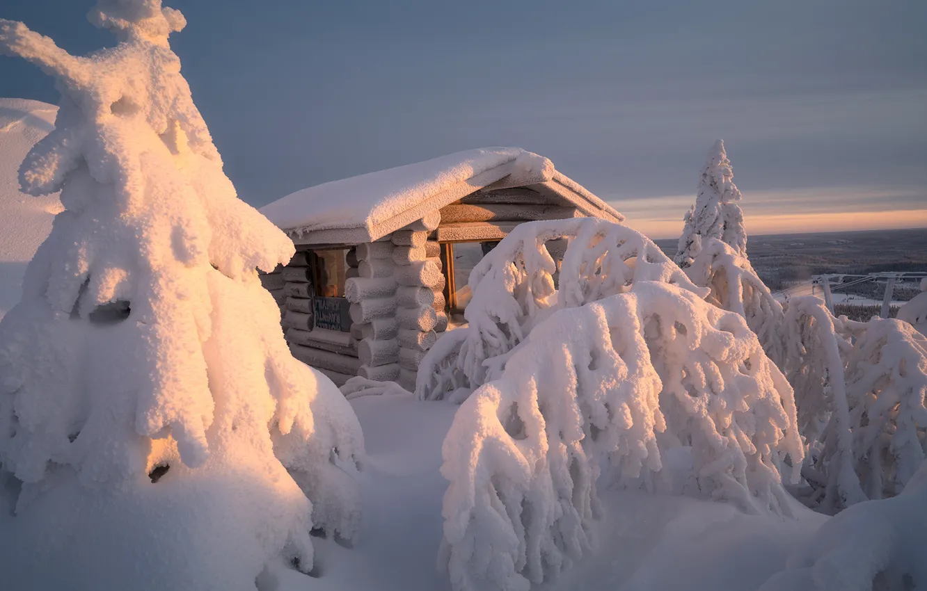 Фото обои зима, снег, деревья, пейзаж, природа, избушка, ели, домик