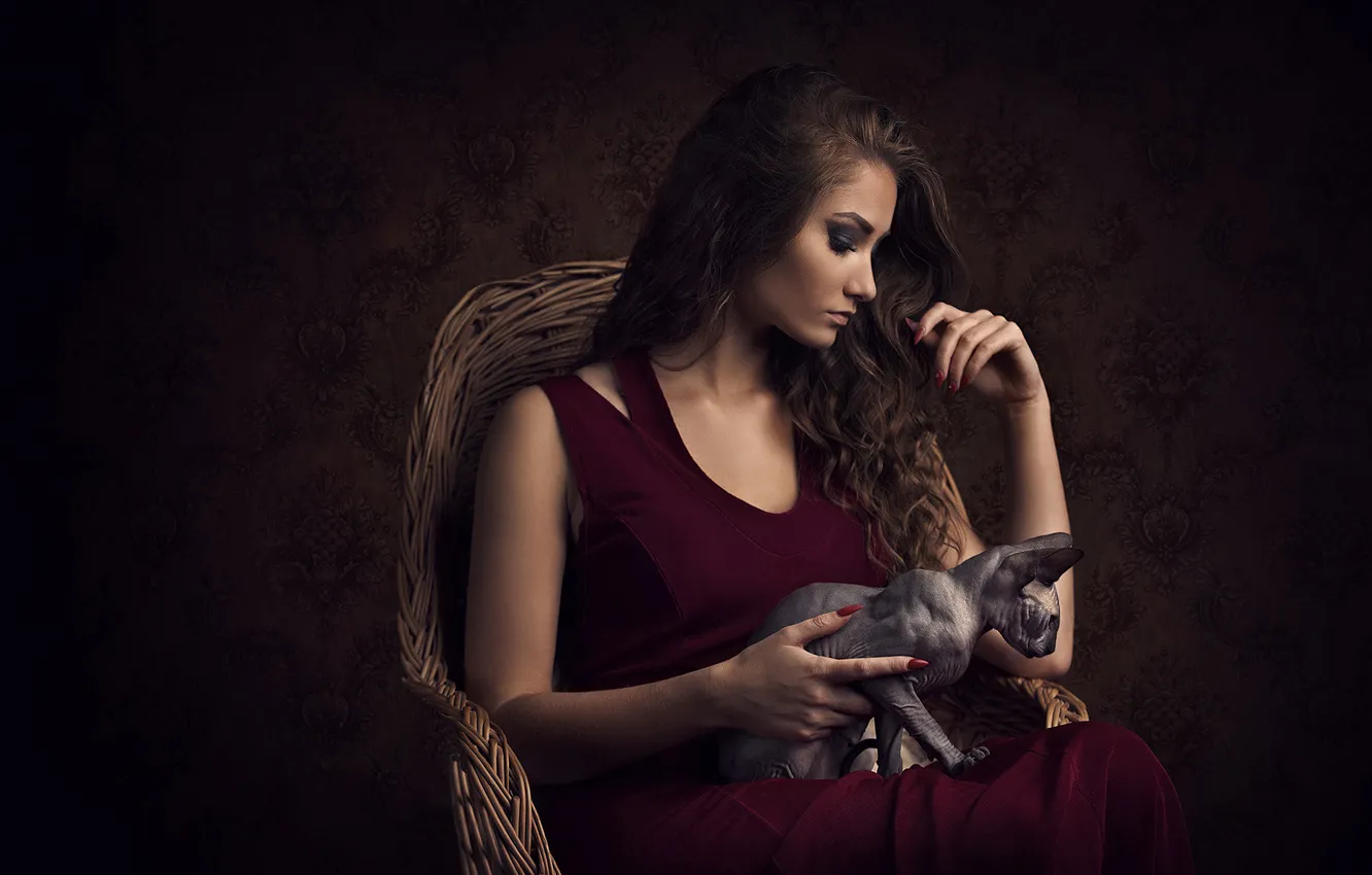 Фото обои кошка, кот, девушка, поза, темный фон, кресло, руки, макияж