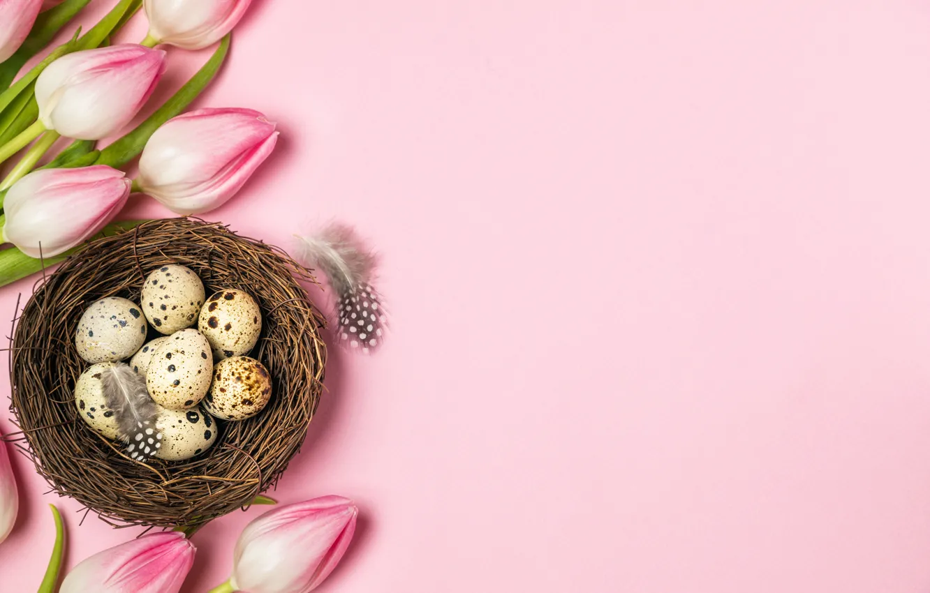 Фото обои праздник, яйца, пасха, тюльпаны, христианский праздник