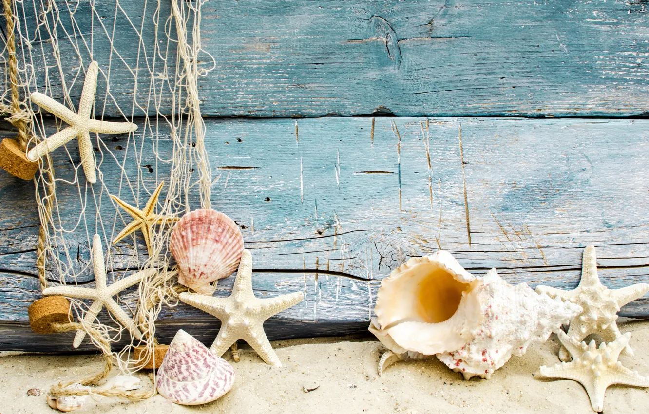 Фото обои песок, пляж, ракушки, beach, wood, sand, marine, seashells