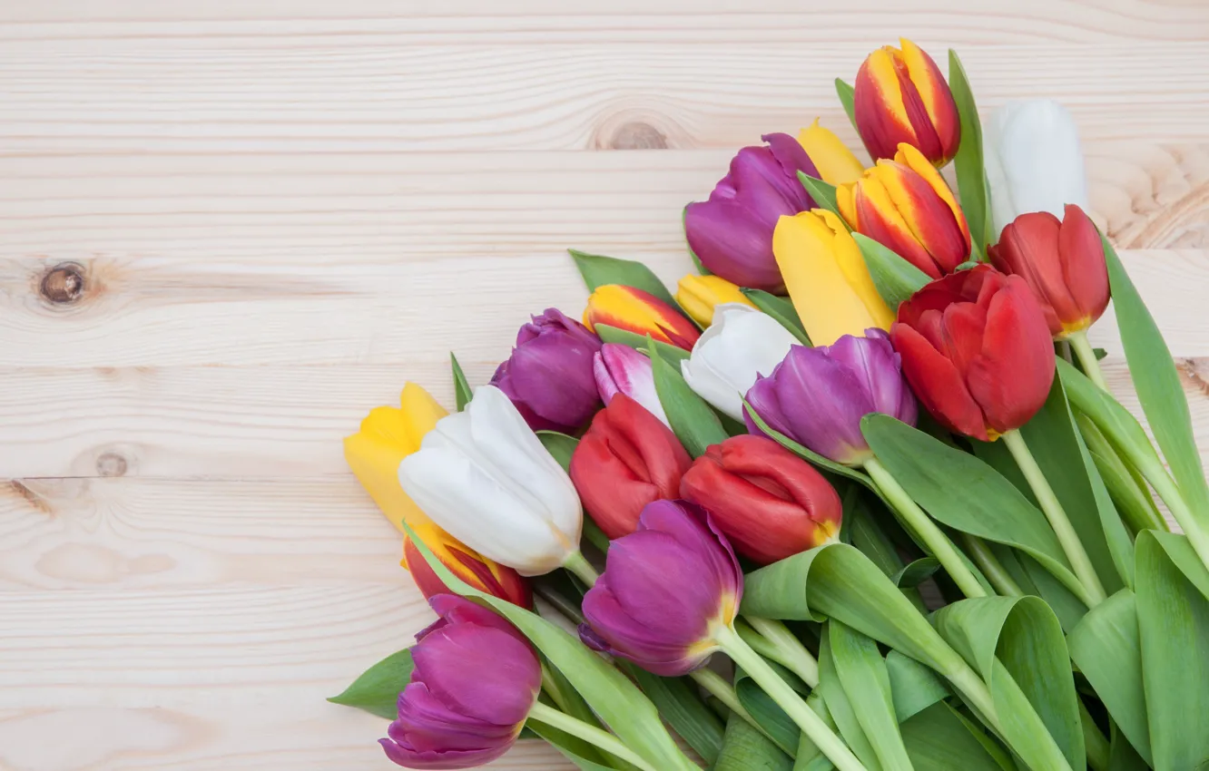 Фото обои цветы, букет, colorful, тюльпаны, love, розовые, wood, pink