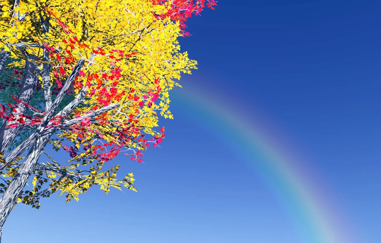 Фото обои небо, дерево, листва, радуга