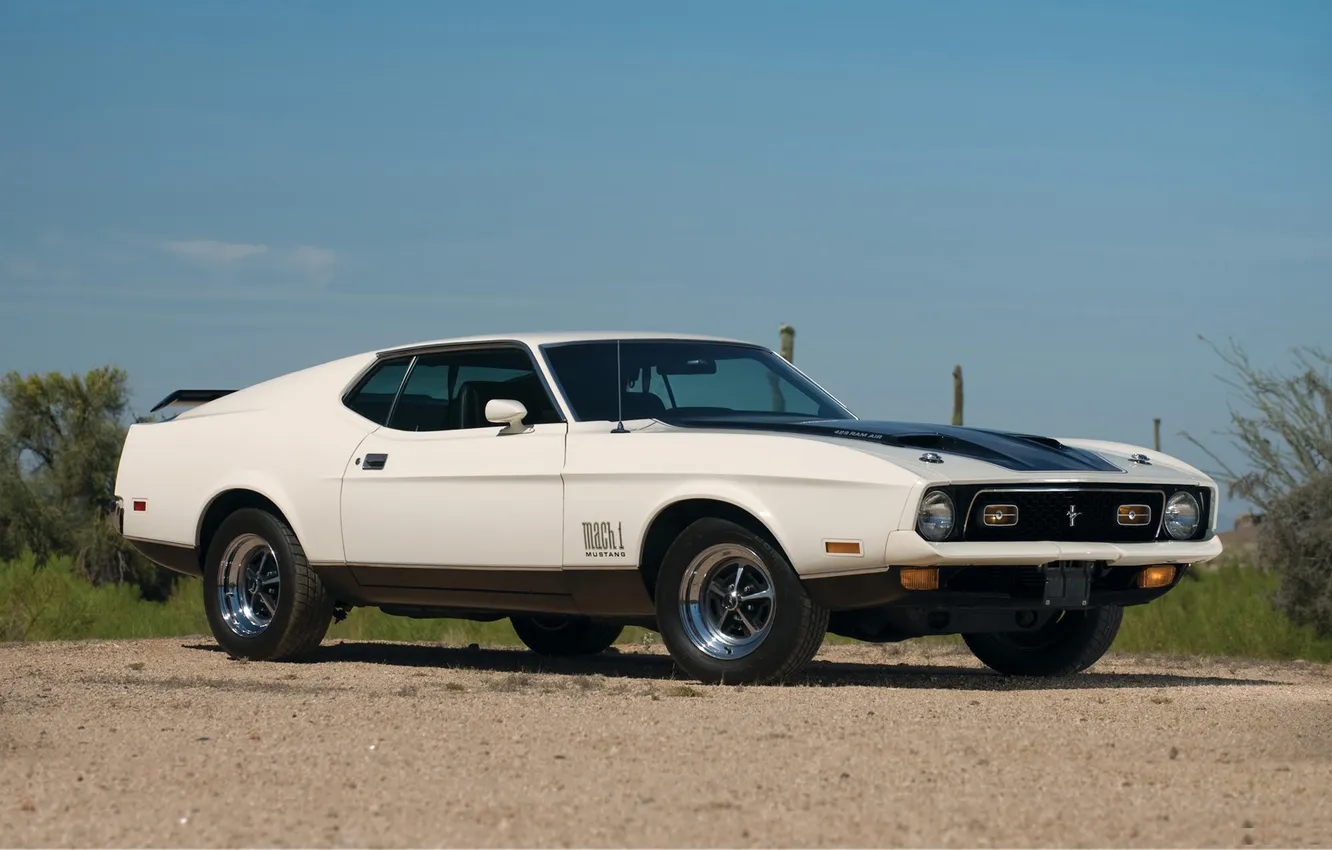 Фото обои Mustang, Ford, 1971, muscle car, Mach I 429