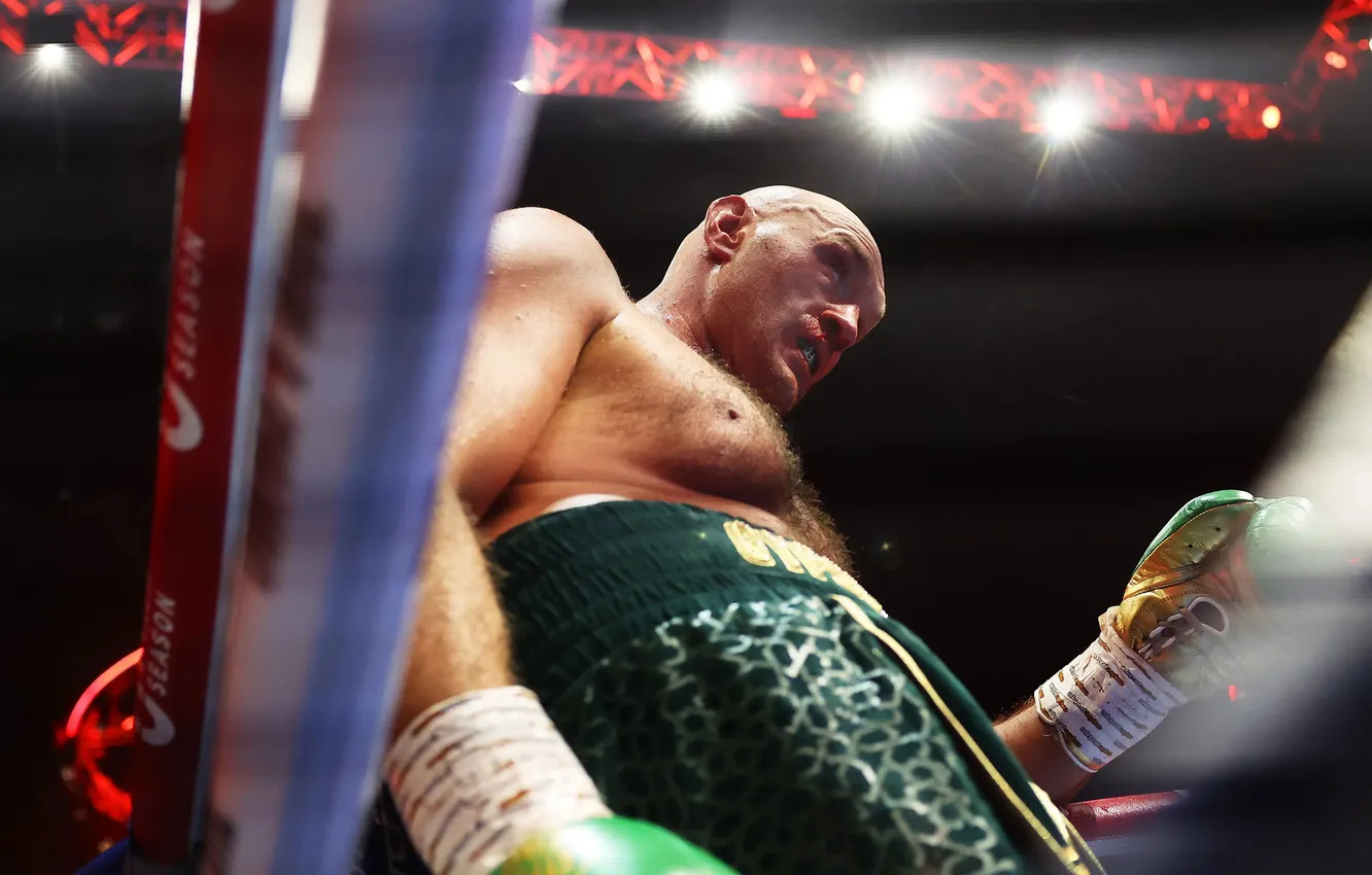 Фото обои boxing, Тайсон Фьюри, Tyson Fury