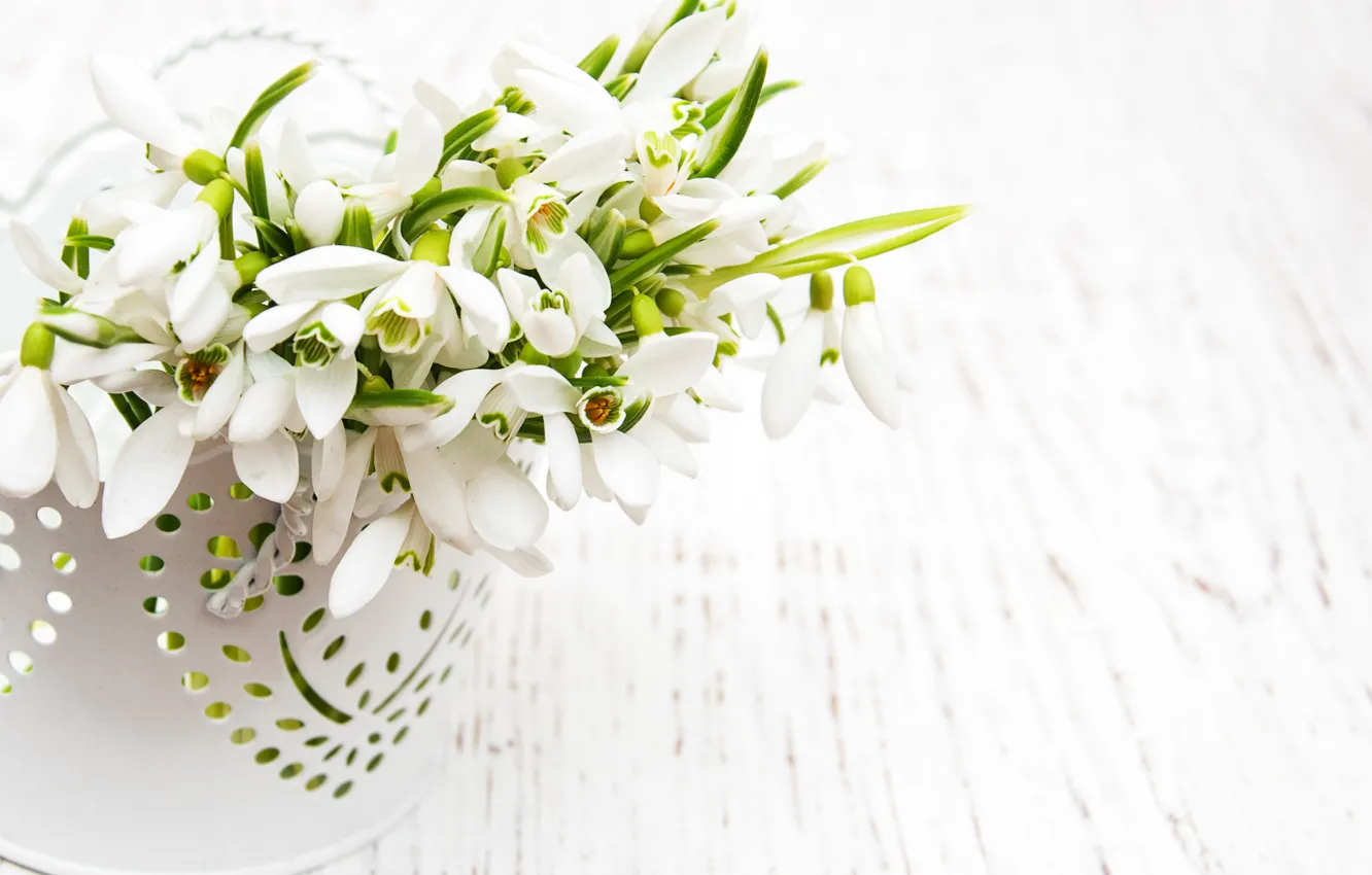 Фото обои цветы, букет, подснежники, white, белые, flowers, spring, snowdrops