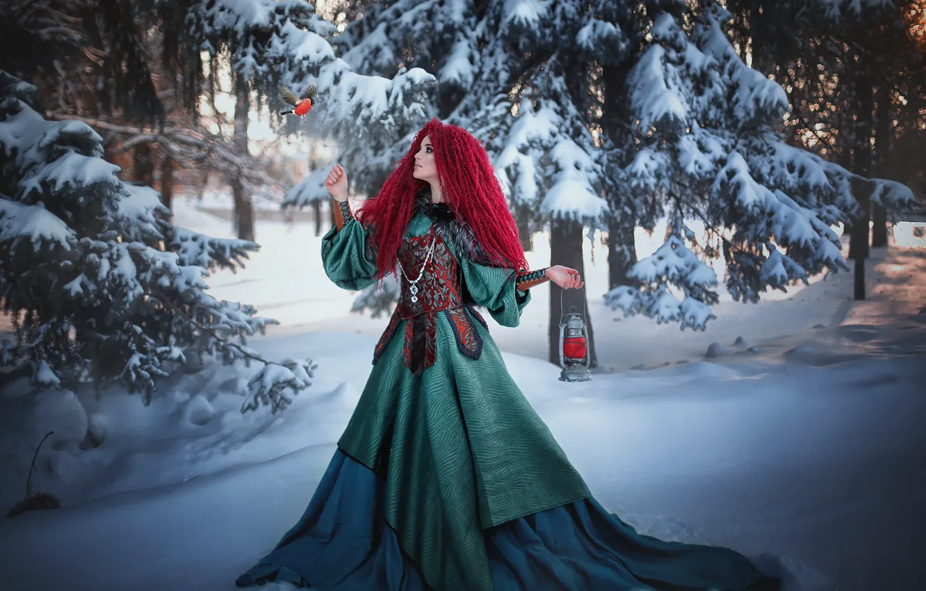 Фото обои зима, лес, девушка, снег, деревья, природа, птица, платье