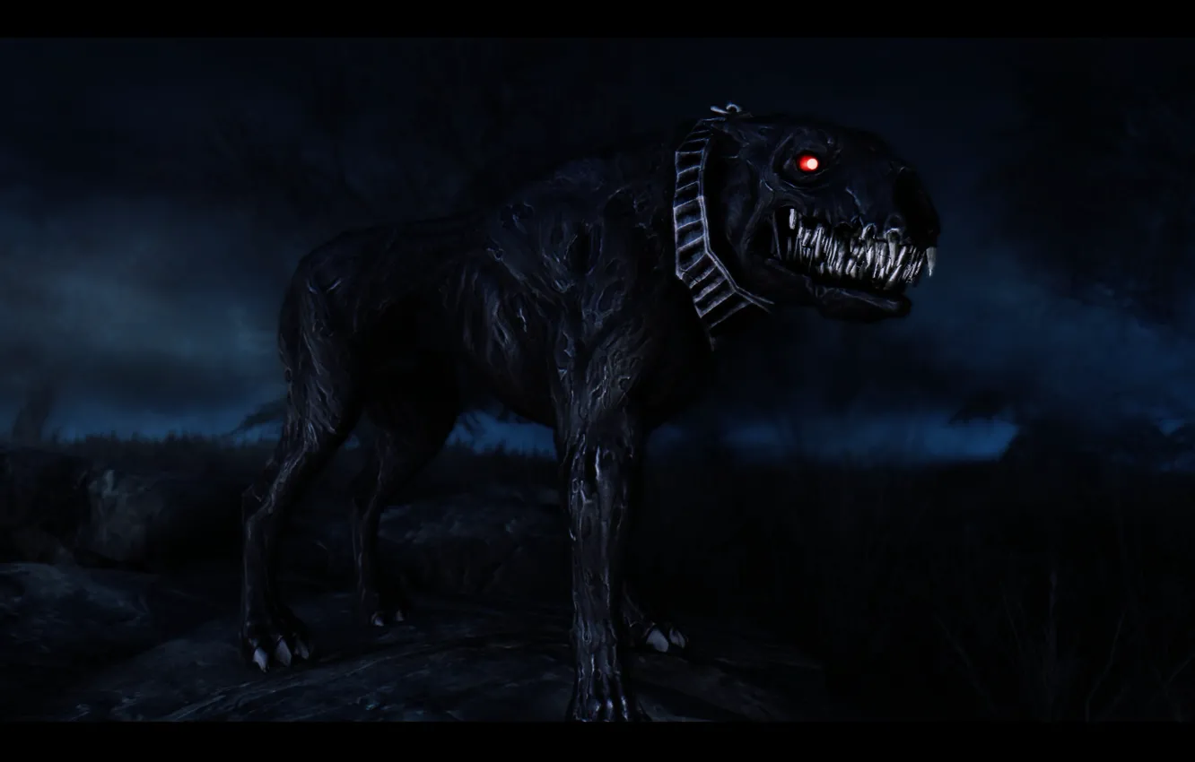 Фото обои death, black dog, Death hound