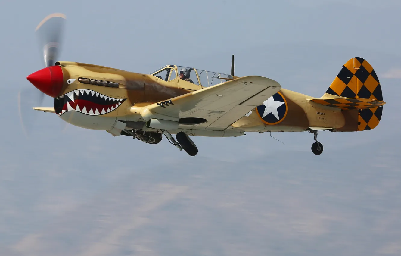 Фото обои истребитель, кабина, пилот, Curtiss P-40