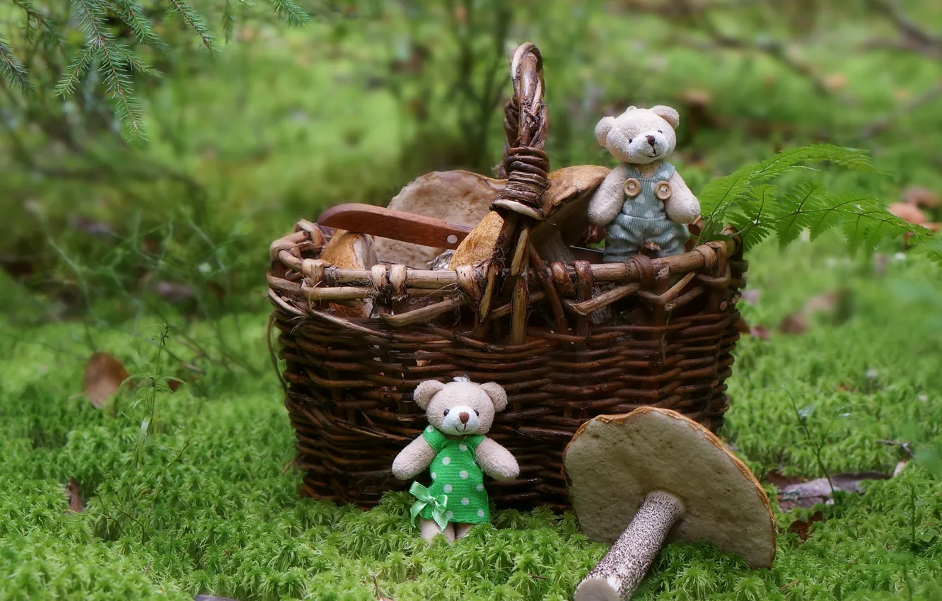 Фото обои лес, корзина, игрушки, грибы, медвежата