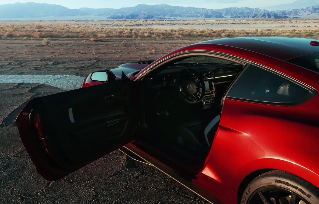 Фото обои Mustang, Ford, Shelby, GT500, дверь, кровавый, 2019