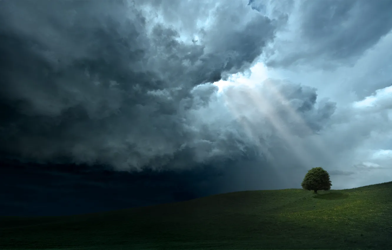 Фото обои небо, облака, лучи, свет, деревья, дерево, холмы, пейзажи