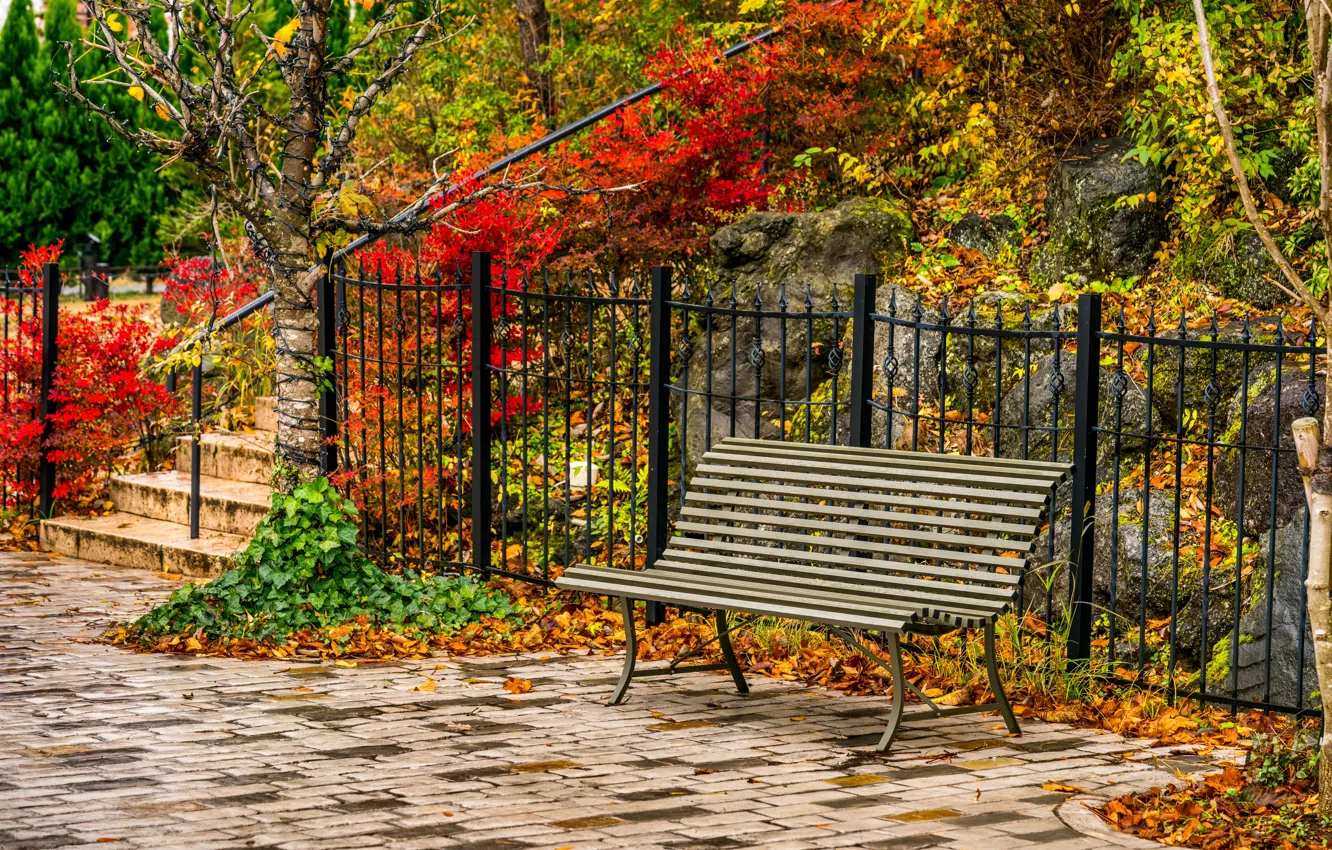 Фото обои осень, листья, деревья, скамейка, парк, park, autumn, leaves