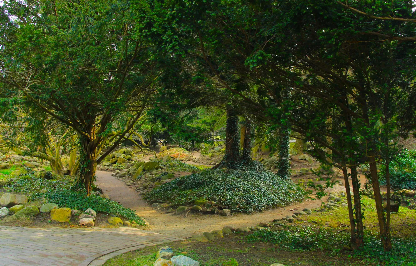 Фото обои park, tree, alley